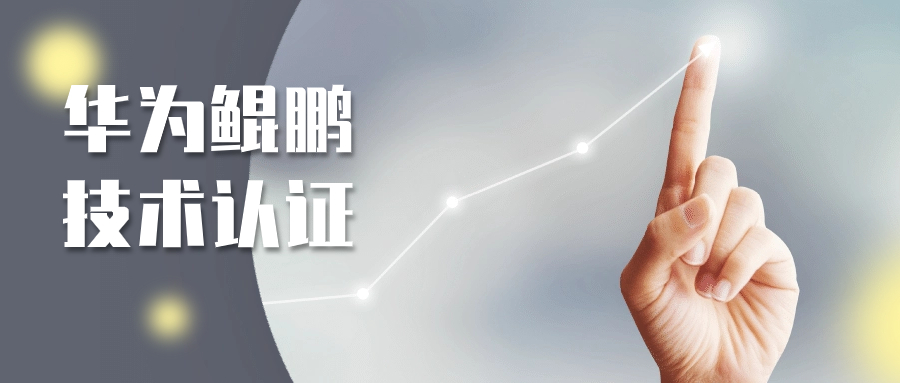 中壬银兴PVE评估系统荣获华为鲲鹏技术认证书