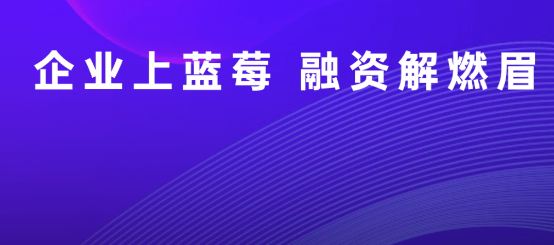 中壬蓝莓:获客风控一体化,助力金融机构信贷业务增长