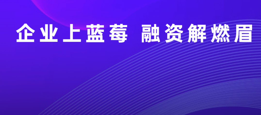 中壬蓝莓：获客风控一体化，助力金融机构信贷业务增长